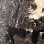 vtg 50s Circle Skirt Dramatic Dark Spooky Mansion Tree Novelty Print Halloween S