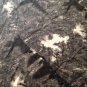 vtg 50s Circle Skirt Dramatic Dark Spooky Mansion Tree Novelty Print Halloween S