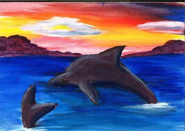 dolphin 7/12/14