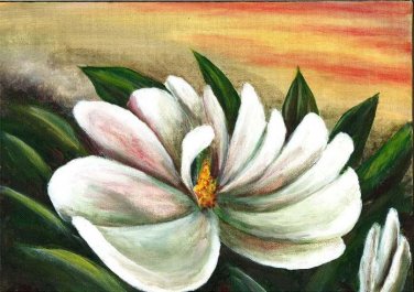 Magnolia 4/2/14