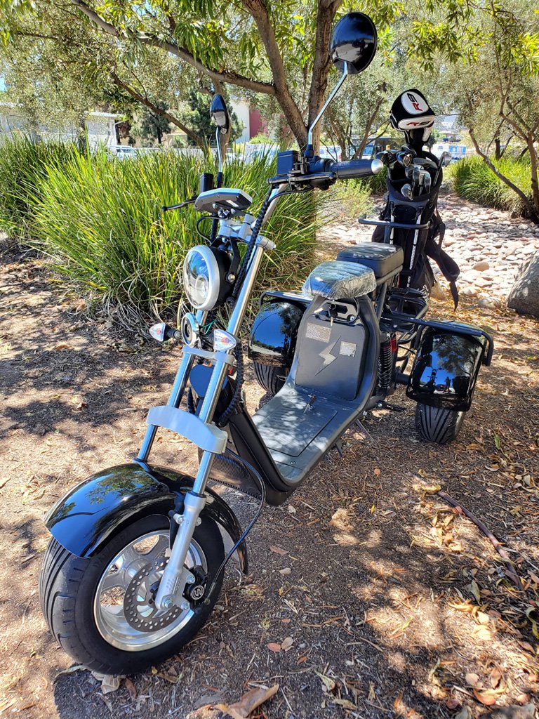 Electric 3 Wheel Trike Scooter Golf Cart Harley Chopper Motorcycle