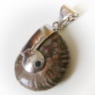 Natural Madagascar Fossil Ammonite Ammolite Pendant   ~ Orange Hue Flash