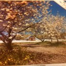 vintage wisconsin farm puzzle