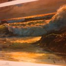 Robert Wood Surfside print 32 x 14 vintage donald art co. 1962s mid century mod