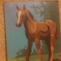 paint by number colt horse about 8 x 11 unframed art painting vintage item