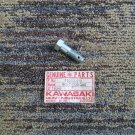 Genuine Kawasaki Part Swing Arm Bolt 10X29 KZ H1-F KH KX KDX EN ZN VL 92003-096