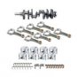 Genuine Ford Part F8RZ-6320759-AA Front Weatherstrip Assembly