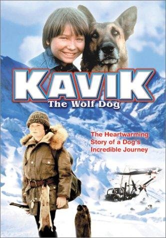 Kavik The Wolf Dog