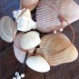 Large Hole Pearl and Leather Necklace Soul of the Sea Made In USA N216 ~