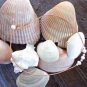 Large Hole Pearl and Leather Necklace Soul of the Sea Made In USA N206 ~