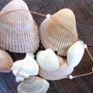 Large Hole Pearl and Leather Necklace Soul of the Sea Made In USA N209 ~