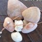 Pearl and Leather Necklace Large Hole Pearls Soul of the Sea Made In The USA N128 ~~~~~~~~~