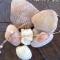 Pearl and Leather Necklace Large Hole Pearls Soul of the Sea Made In The USA N128 ~~~~~~~~~