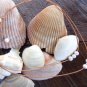 Large Hole Pearl and Leather Necklace Soul of the Sea Made In The USA N201 ~