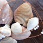 Large Hole Pearl and Leather Necklace Soul of the Sea Made In The USA N201 ~