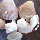 Large Hole Pearl and Leather Necklace Gilligans Boutique Made In USA N206 ~
