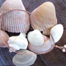 Large Hole Pearl and Leather Necklace Gilligans Boutique Made In USA N211 ~