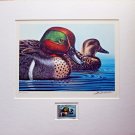 Ken Michaelsen Green-Winged TealDuck print with stamp Signed numbered duck fowl