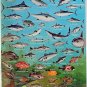 ChartGuide Southern California boating , diving , fishing  Vintage 1975 nautical