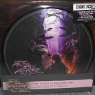 The Dark Crystal Age Of Resistance Vinyl Picture Disc Aureyal Jim Henson Netflix