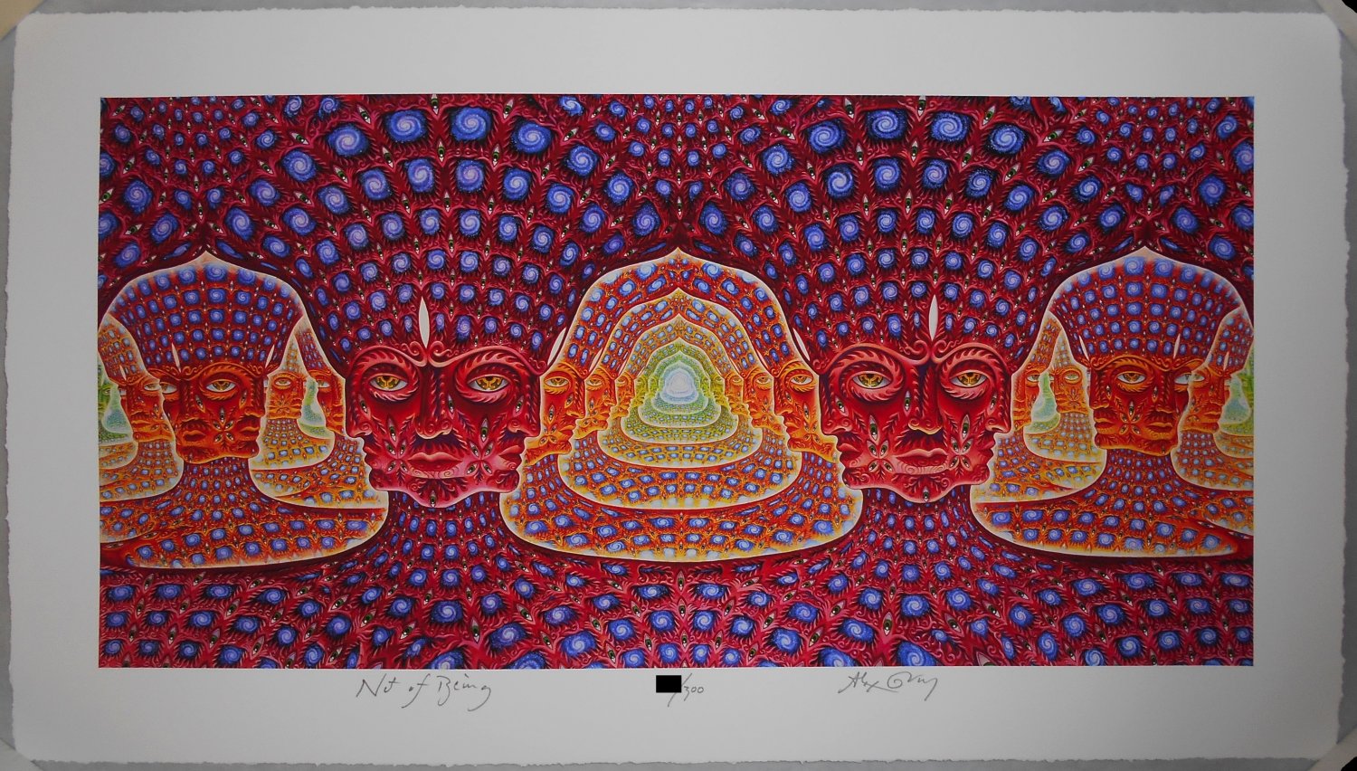 Alex Grey Net Of Being Archival Print Signed #/300 TOOL 10,000 Days COA Poster