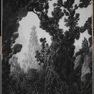 Kilian Eng Forest Maze Giclee Art Print Variant Black White B&W /75 18x24 Poster