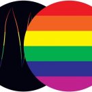 Madonna Madame X 2-LP Rainbow Picture Disc Vinyl LGBT LGBTQ Pride Limited New