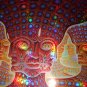 Alex Grey Net Of Being Holographic Screen Print Signed #/333 TOOL 10,000 Days