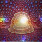 Alex Grey Net Of Being Holographic Screen Print Signed #/333 TOOL 10,000 Days