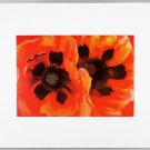 Georgia O'Keeffe Print, Oriental Poppies, White Matted, 23575