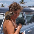 Monkey on Lady's Shoulder 1950's Vintage Color Slide, 22891