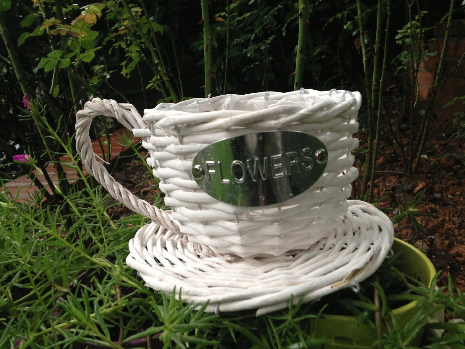 Handmade Wicker Coffee Cup Shaped Basket or Planter for Indoor Use