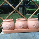 Terra Cotta Clay Set of 3 Small Round Embossed Earthenware Planters with Tray