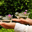 Set of 2 Different Size Beautiful Hand Blown Glass Bird Shape Hanging Planters or Vases