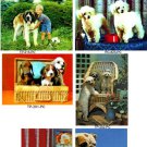Cute Dog Postcard Collection 8 Vintage Cards 3D Lenticular #8-DOG2-PC#
