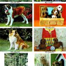 Dog Postcard 3D Lenticular Cute  Collection - 8 Vintage Puppy Cards, #8-DOG1-PC#