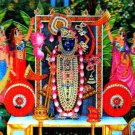 3D Lenticular Religious Hindu Shrinathji & Gopis 10.5x13.5 in Poster #HDL-05-PI#