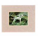 Dalmatian Dog 3D Lenticular Wall Decor w Ready Frame 8x10 #TP-211-RF-ROCCO#