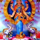 Hindu Shri Lakshmi Religious 3D Effect Lenticular Poster 10.5x13.5  #HDL-06-PI#