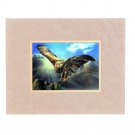Eagle Hawk Flying  3D Lenticular Wall Decor Ready Frame 8x10  #SSP-484-RF-ROCCO#