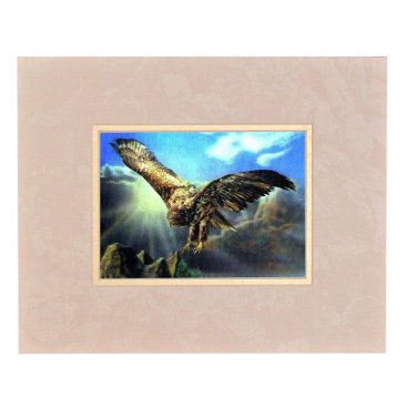 Eagle Hawk Flying  3D Lenticular Wall Decor Ready Frame 8x10  #SSP-484-RF-ROCCO#
