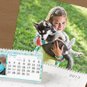 Wall Calanders