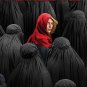 Homeland : Fourth Season 4 DVD (9/8)