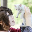 Hakuouki Okita Souji short dark brown anime cosplay party full wig