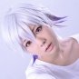 KARNEVAL NAI short silver white purple cosplay wig