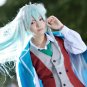 ensemble stars Hibiki Wataru 100cm green mix long cosplay wig