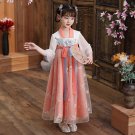 Traditional Chinese Hanfu Girls' Skirt Tang Suit Girl Ancient Dress of the Tang Dynasty