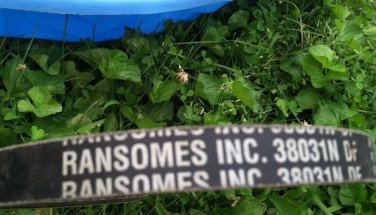 Bobcat Ransomes Belt 38031N  Measuring 5/8" x 52"