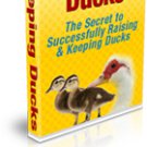 Keeping Ducks - The Secret to Successfully Raising & Keeping Ducks - Ebook