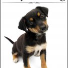 DOG POTTY TRAINING - Teaching Your Pup The Right Ways - eBook